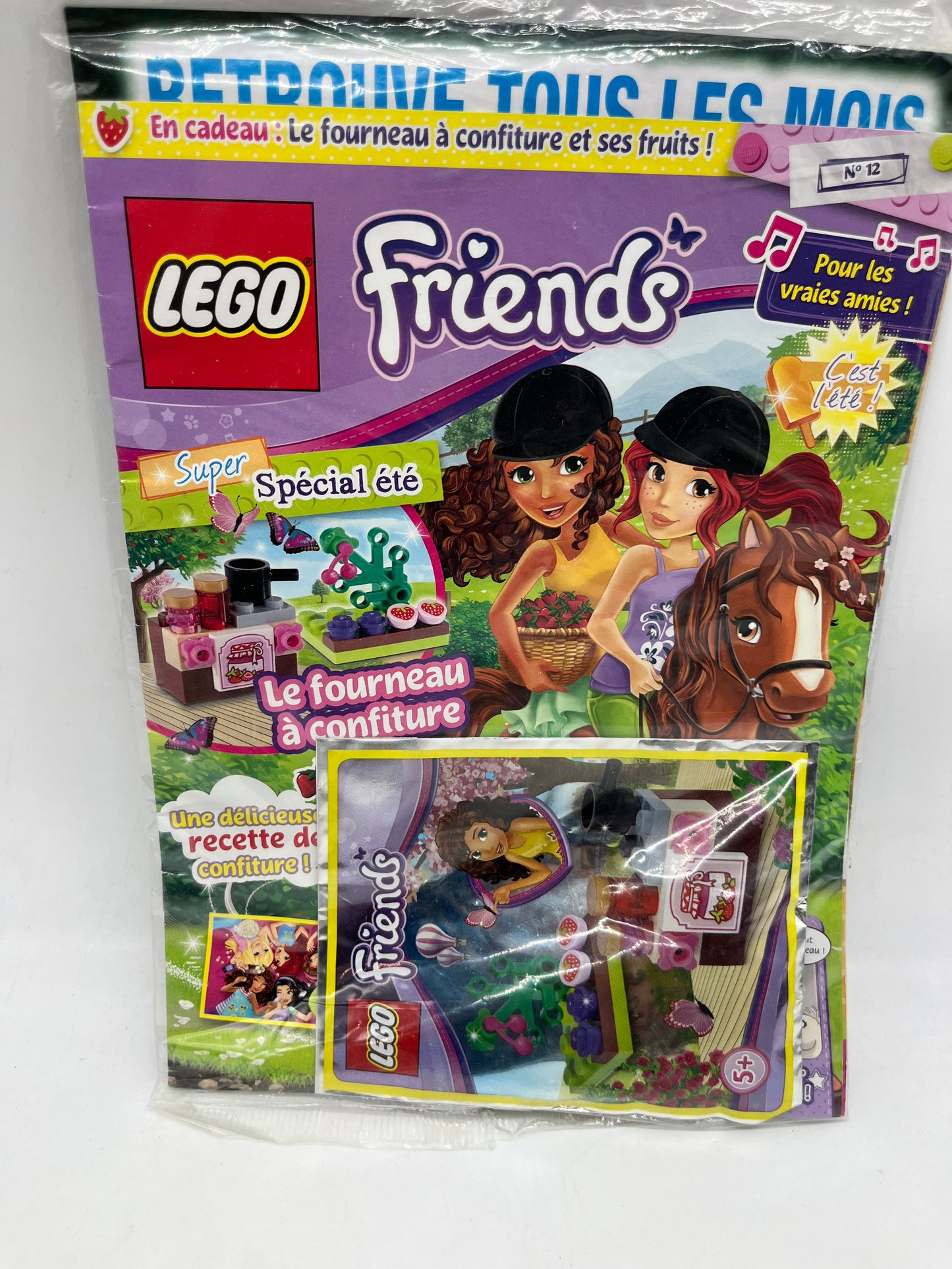 livre d’activité Magazine Lego Friends  avec son sachet à construire numéro 12 Neuf