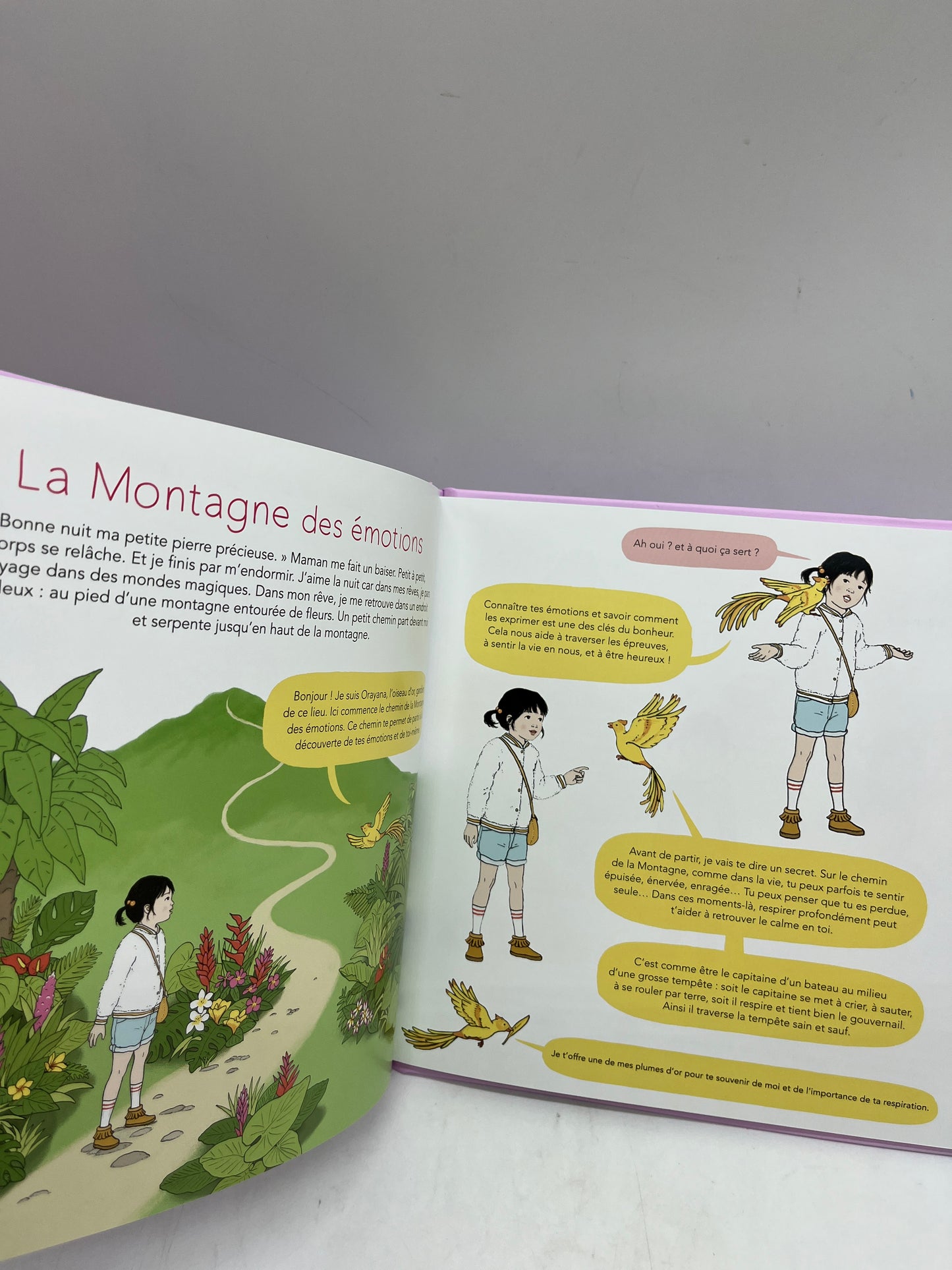 Livre J’acceuille mes émotions apprendre à reconnaître ces émotions type Montessori Neuf