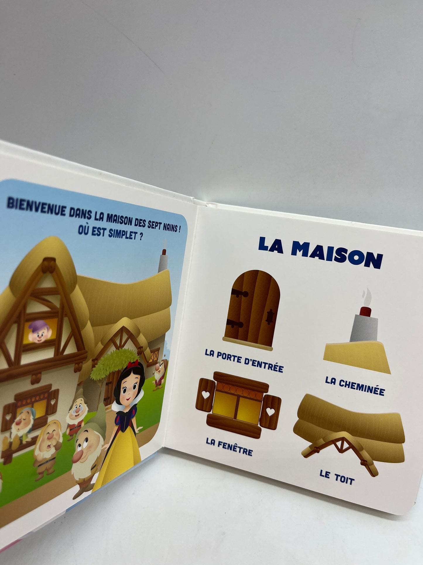 livre Disney Mes premiers imagiers Théme La maison Neuf entièrement Cartonné