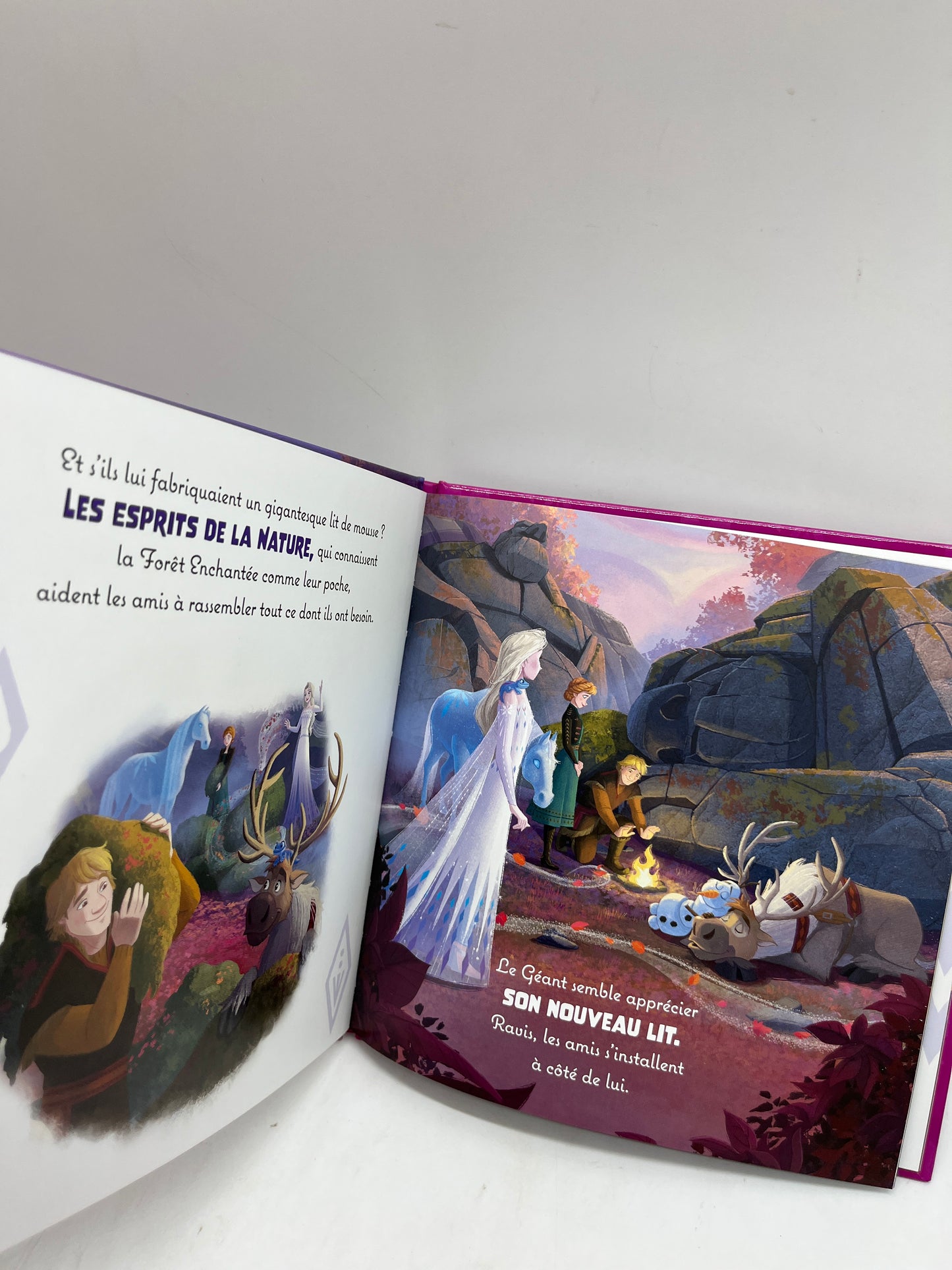 Livre Histoires Disney Princesses La reine des neiges 2 Le géant qui n’a pas sommeil Neuf