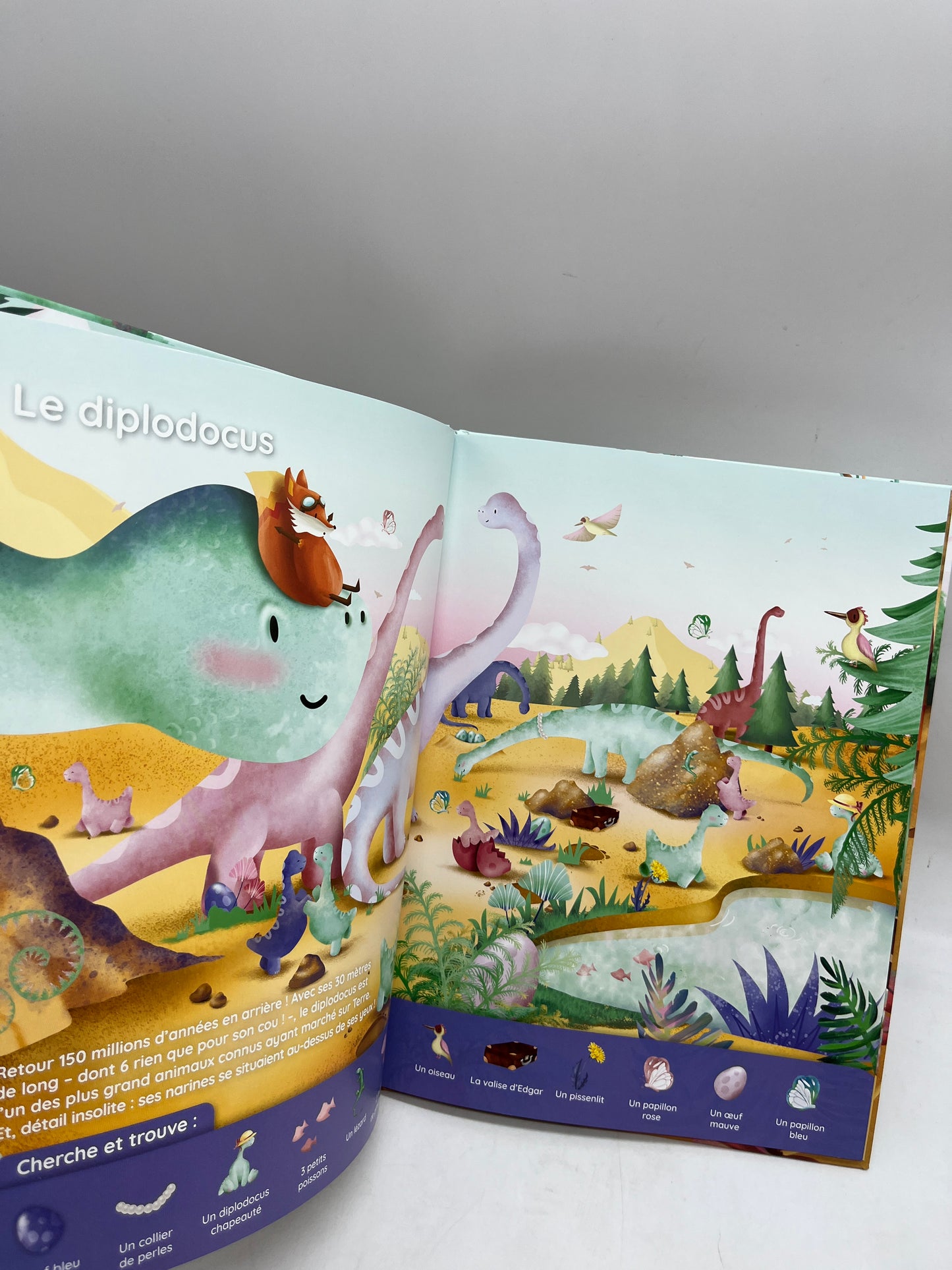 livre Cherche et trouve Edgar au temps des dinosaures Neuf