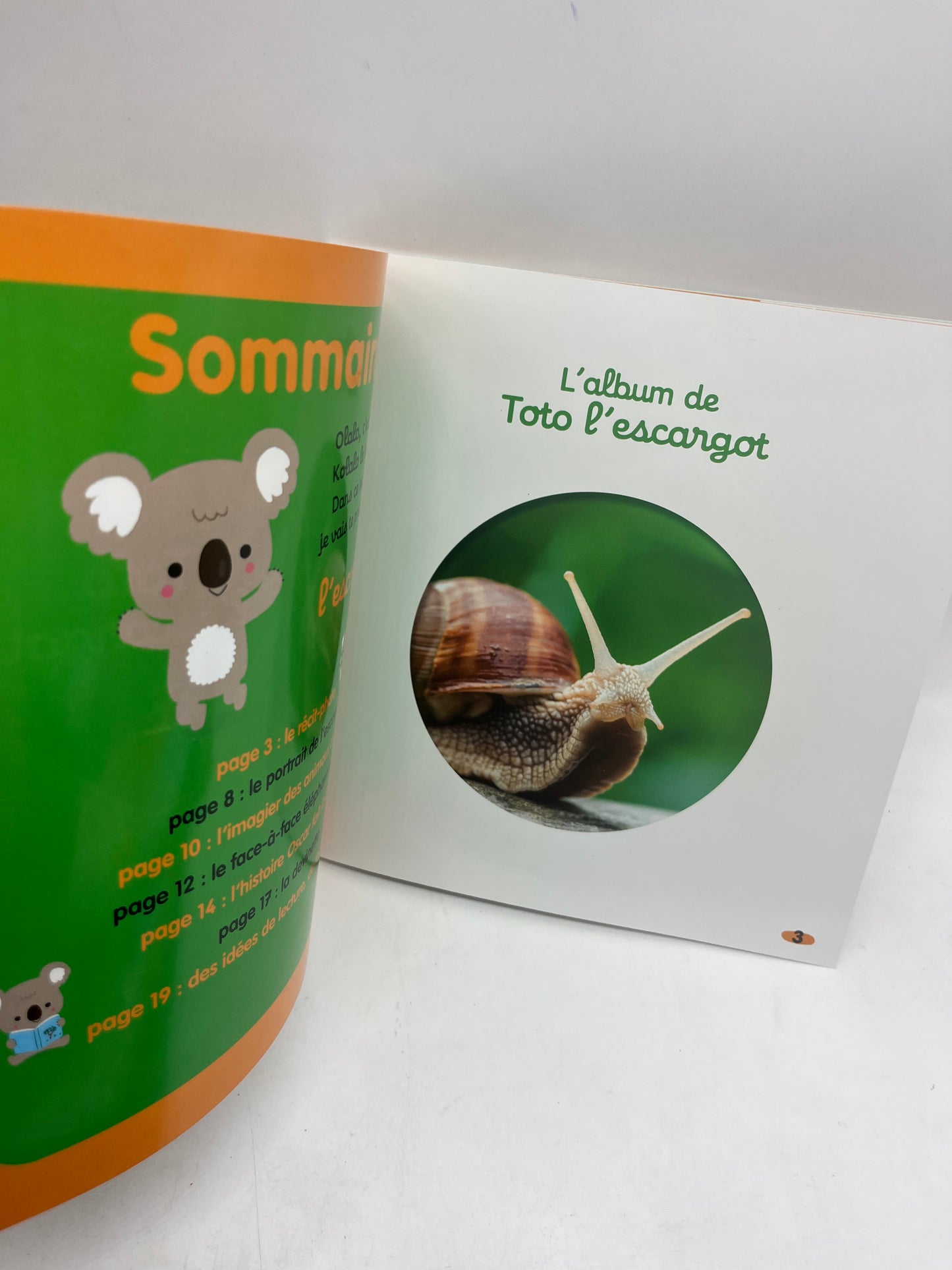 Magazine livre d’activité Kolala revue spécial animaux numéro 66 Toto l’escargot imagier  jeux activité !