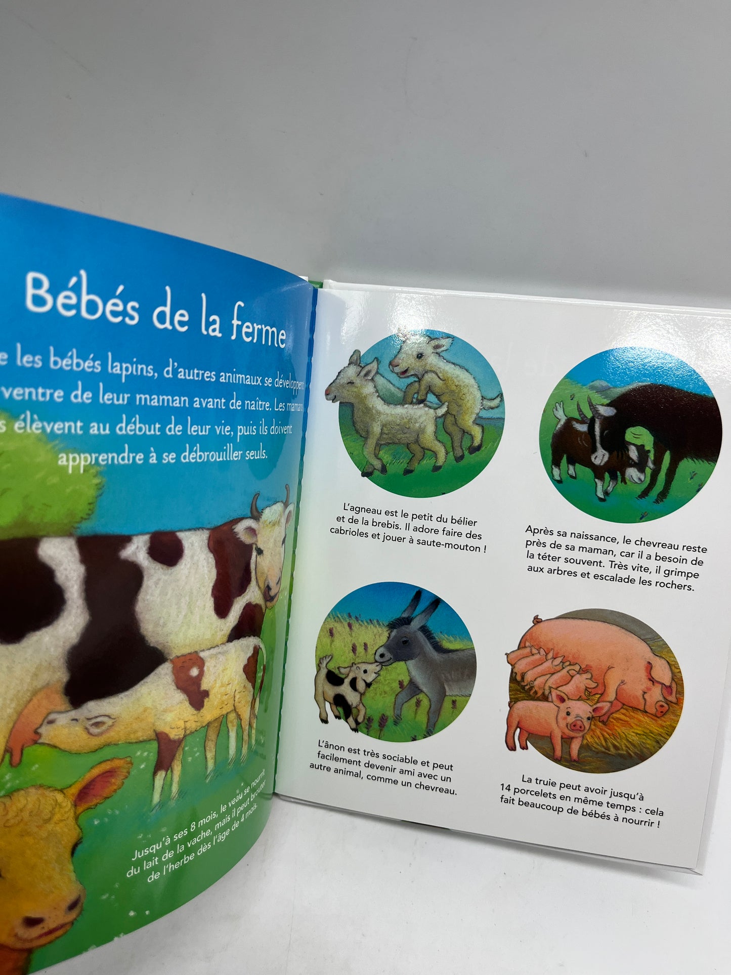 Livre La petite imagerie des bébés animaux édition Fleurus