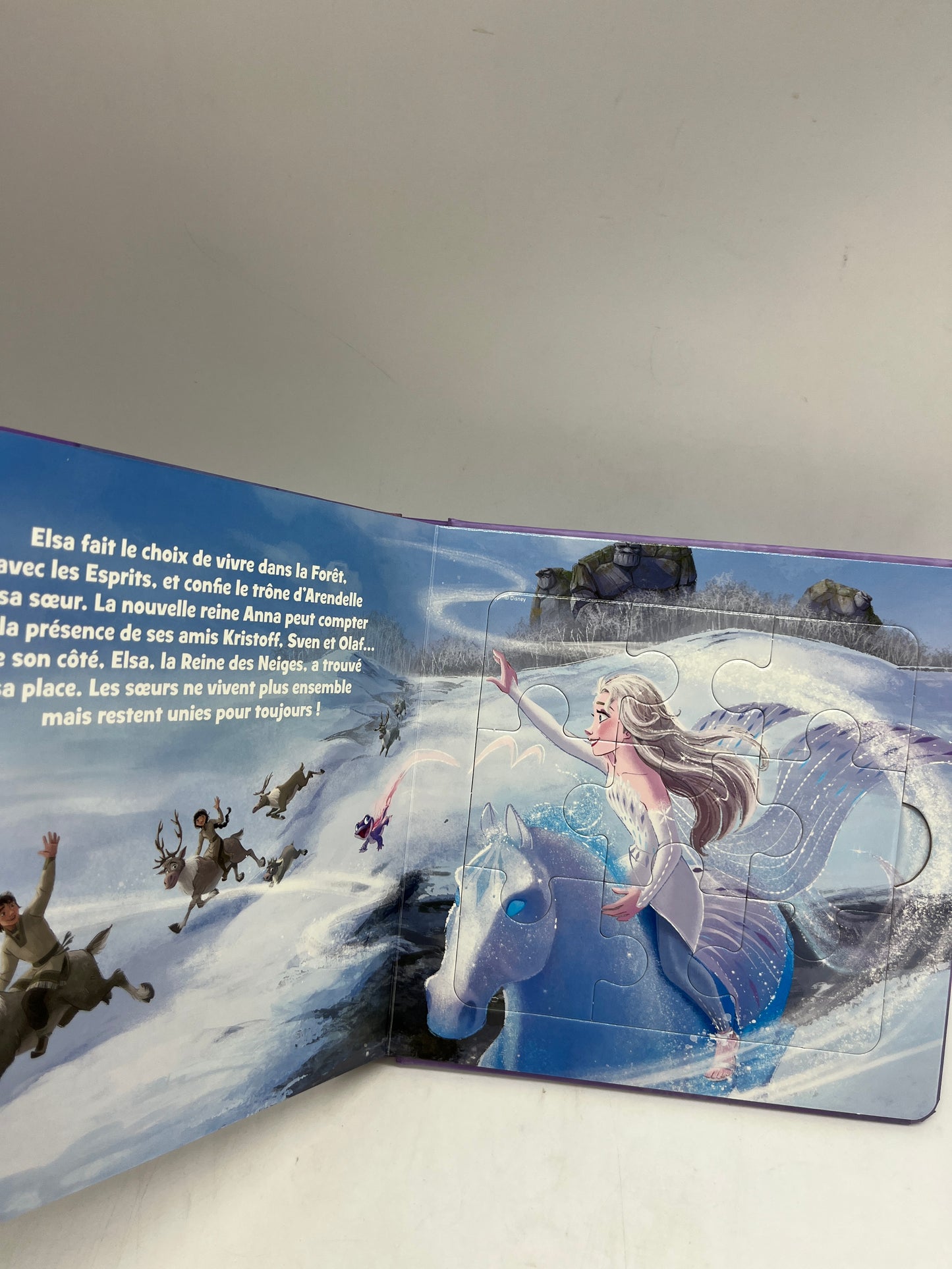 Mon Livre Puzzle Princesse La reine des neiges 2 Disney avec ses 5 histoires Puzzle  de 9 pièces Neuf !