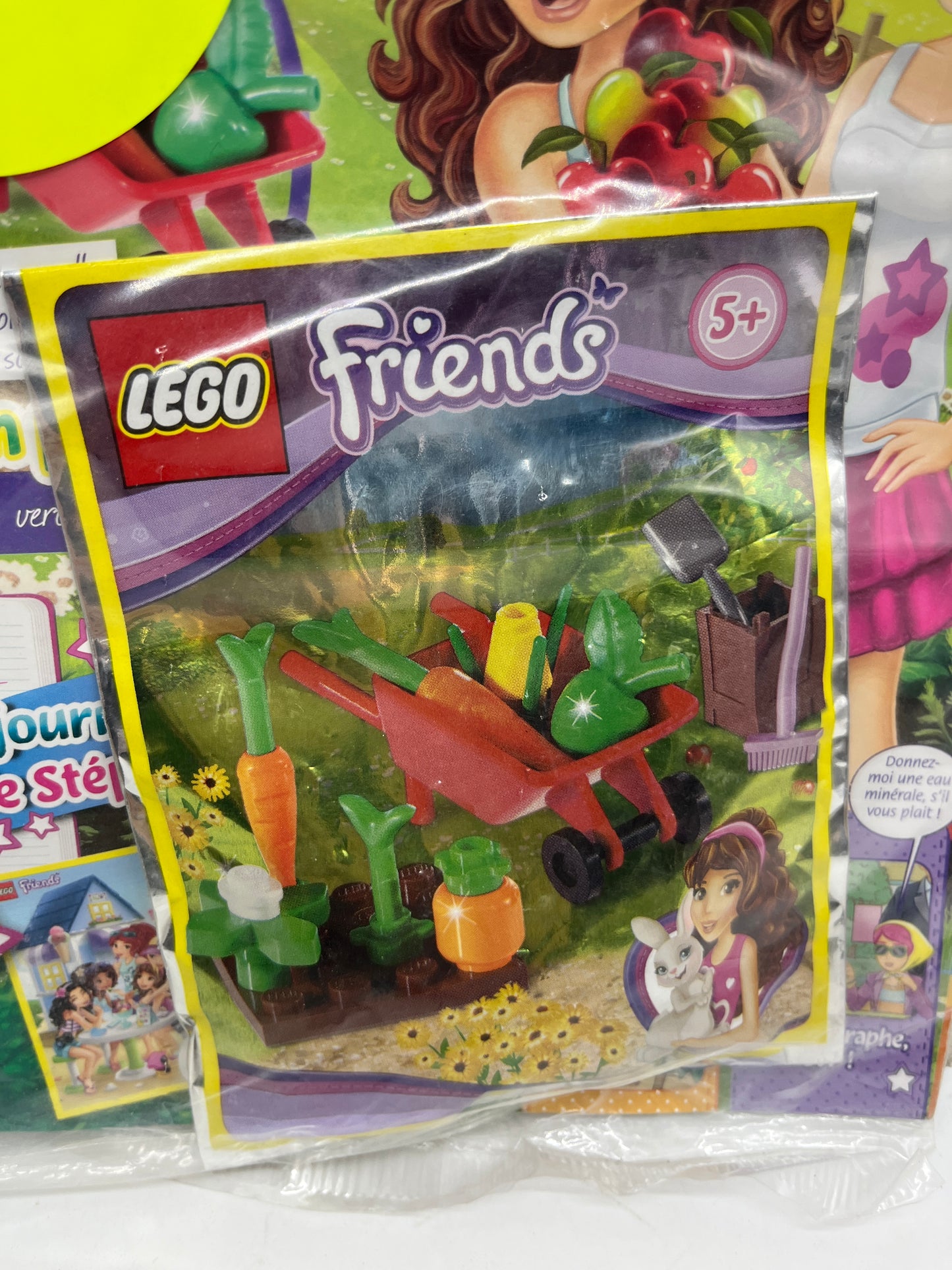 livre d’activité Magazine Lego Friends  avec son sachet à construire numéro 13 Neuf