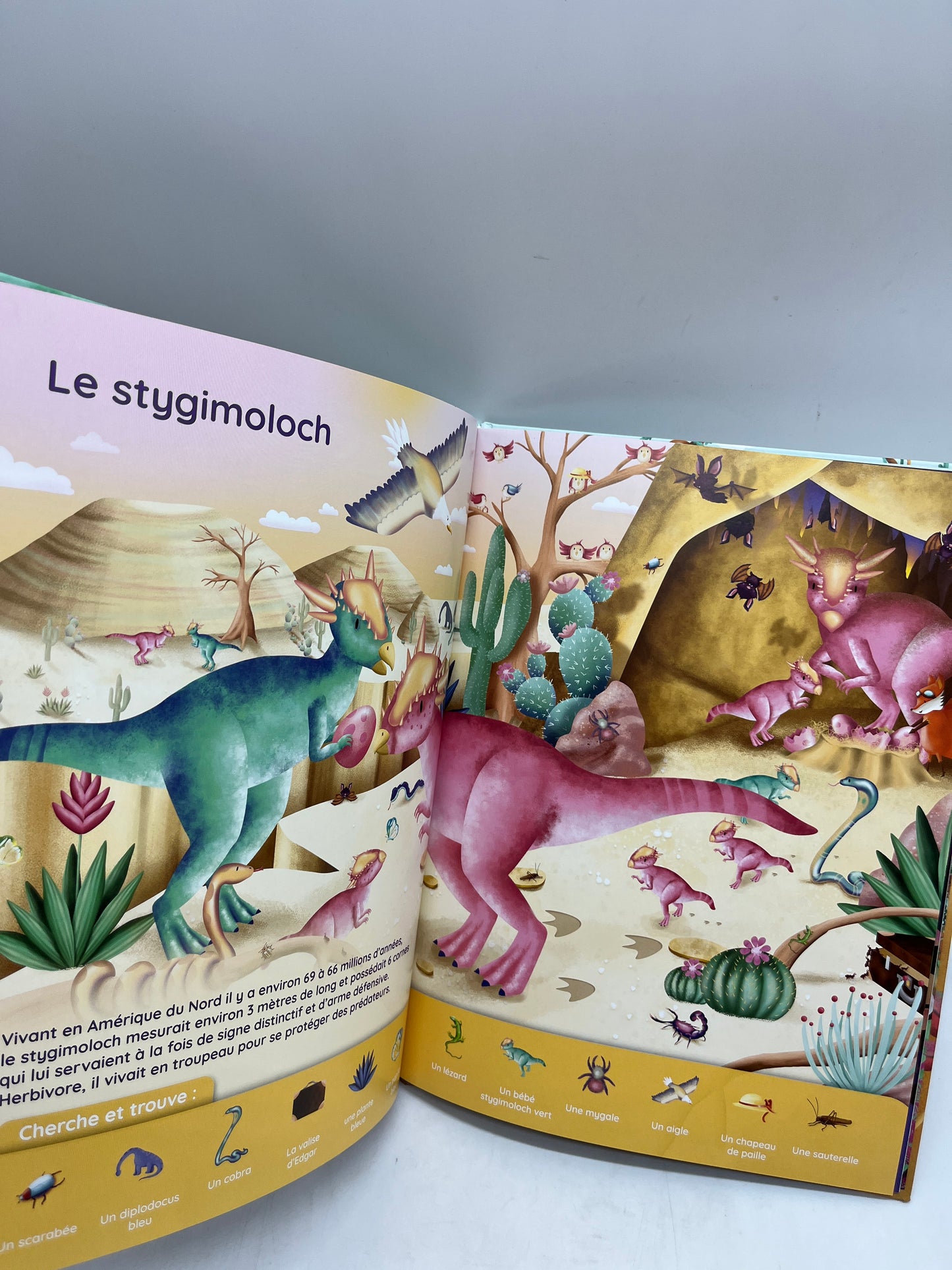 livre Cherche et trouve Edgar au temps des dinosaures Neuf