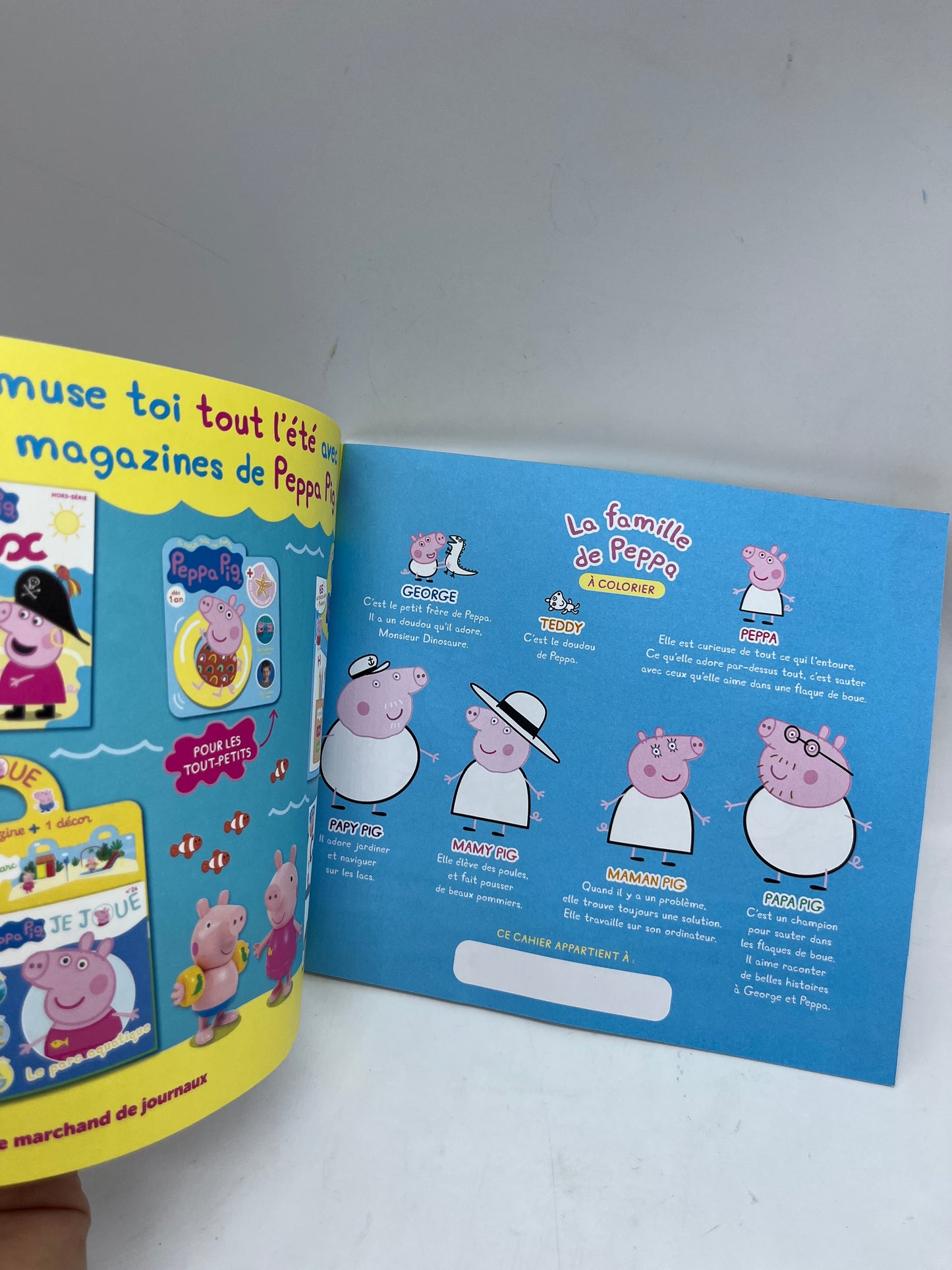 Livre d’activités Magazine Les cahiers de Peppa Pig Coloriage Thème Un été coloré avec ses crayons de couleurs Neuf (Copier)