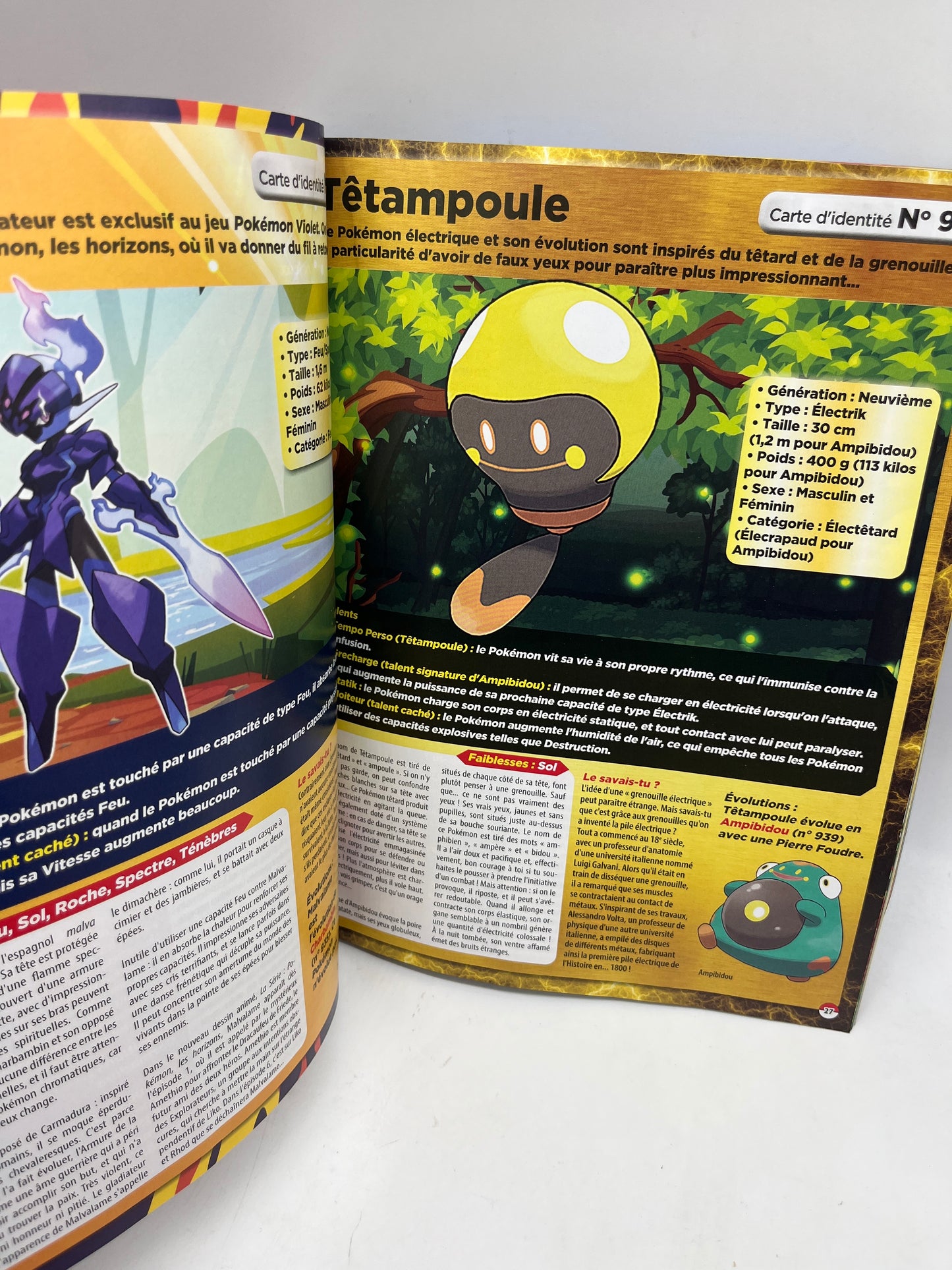 Livre d’activité Magazine Le Guide dès Pokémon de la région  de Paldéa Neuf