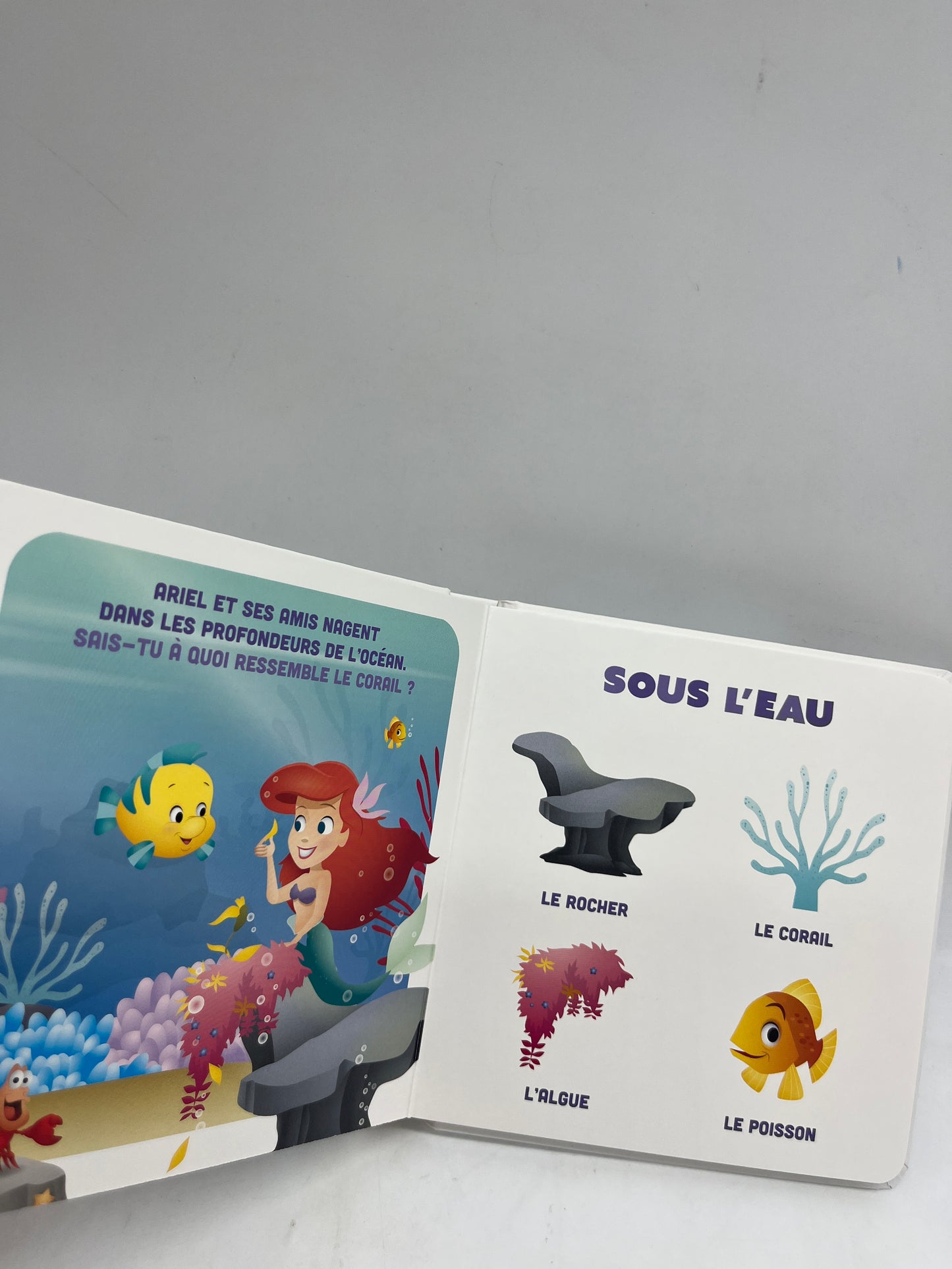 livre Disney Mes premiers imagiers Théme La mer Neuf entièrement Cartonné