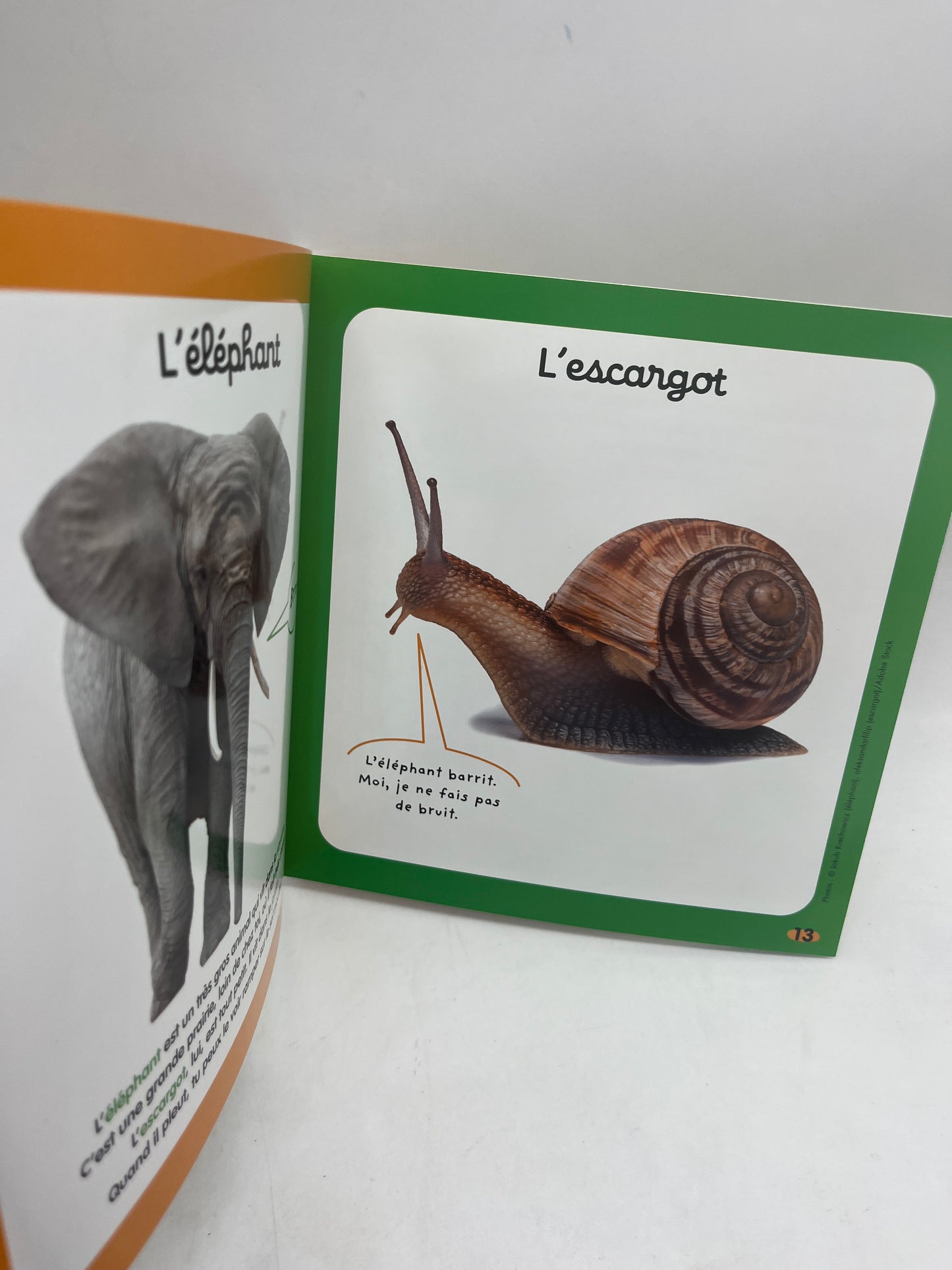 Magazine livre d’activité Kolala revue spécial animaux numéro 66 Toto l’escargot imagier  jeux activité !