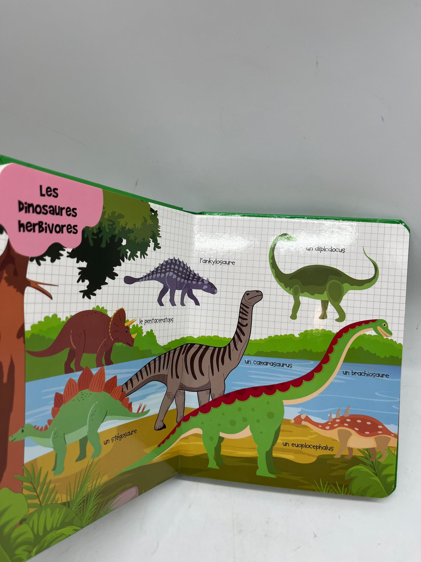livre mon premier dictionnaire illustré mes premiers mots pour  découvrir les dinosaures Neuf