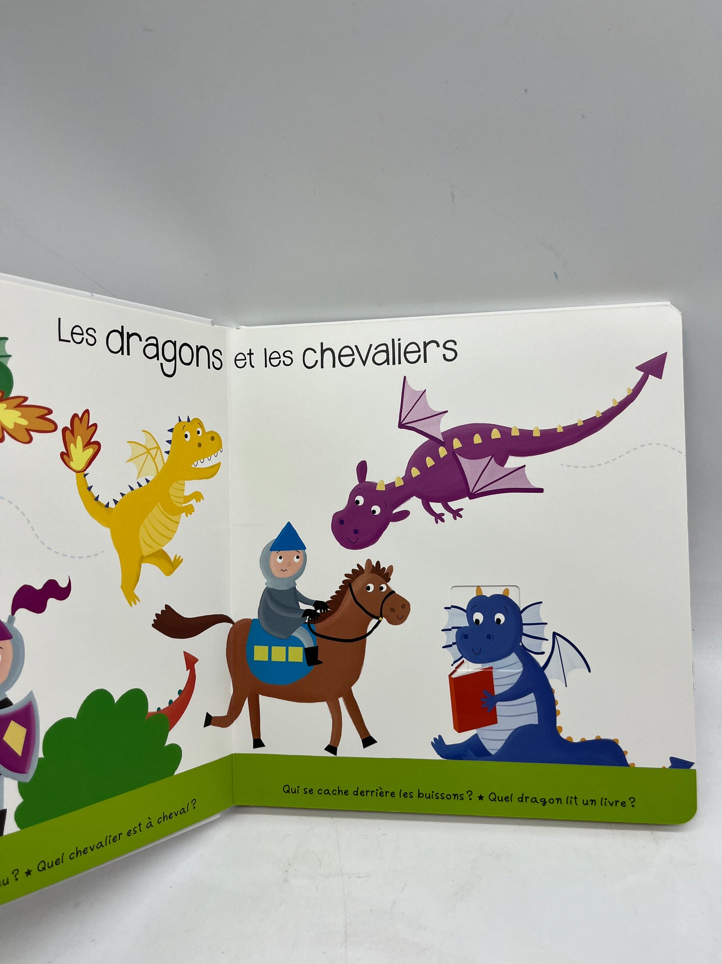 livre Cherche et trouve thème Princesse chevalier Dragons Neuf