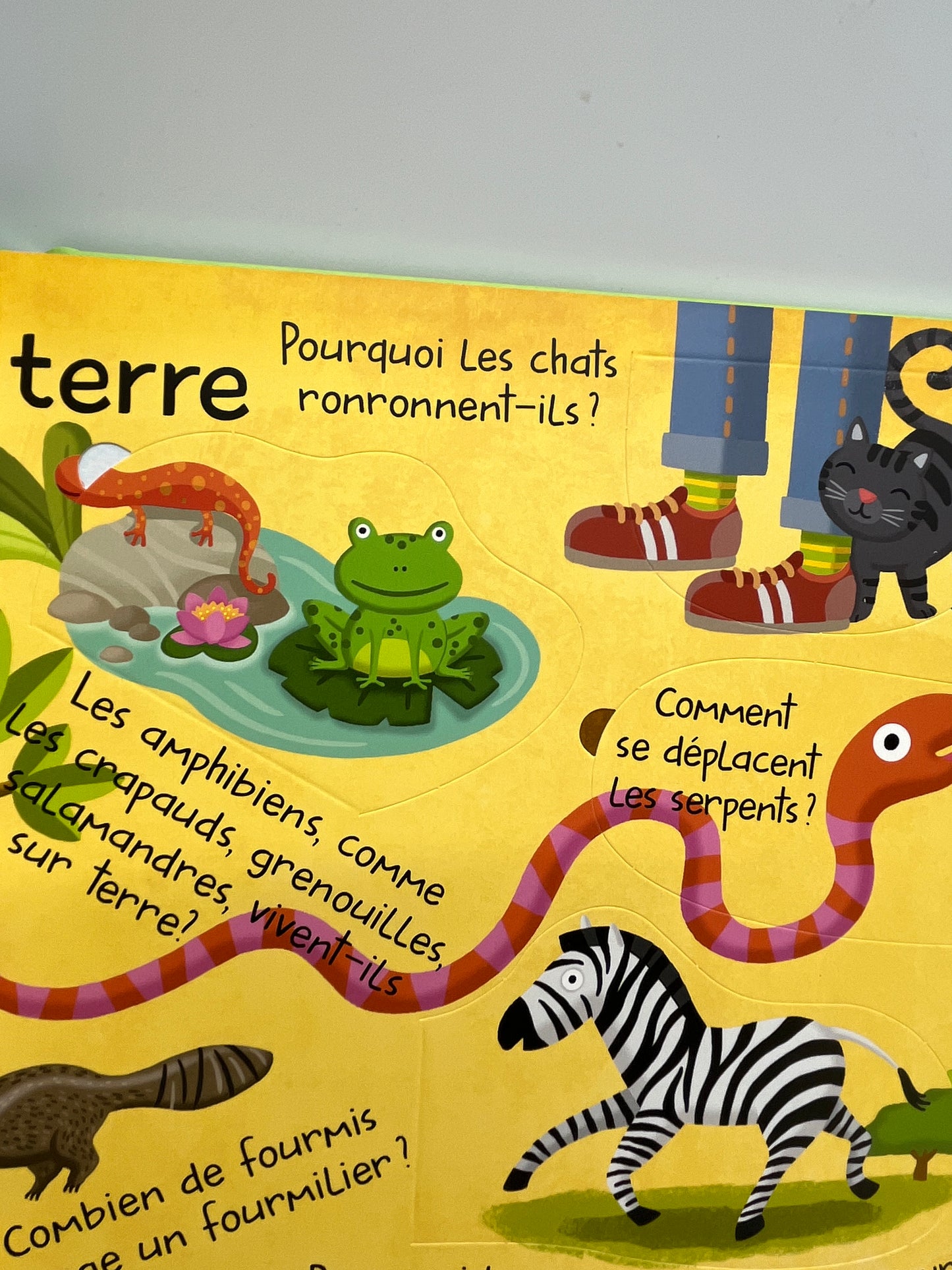 Livre Mon grand livre de questions réponses avec rabats Thème Les animaux Neuf