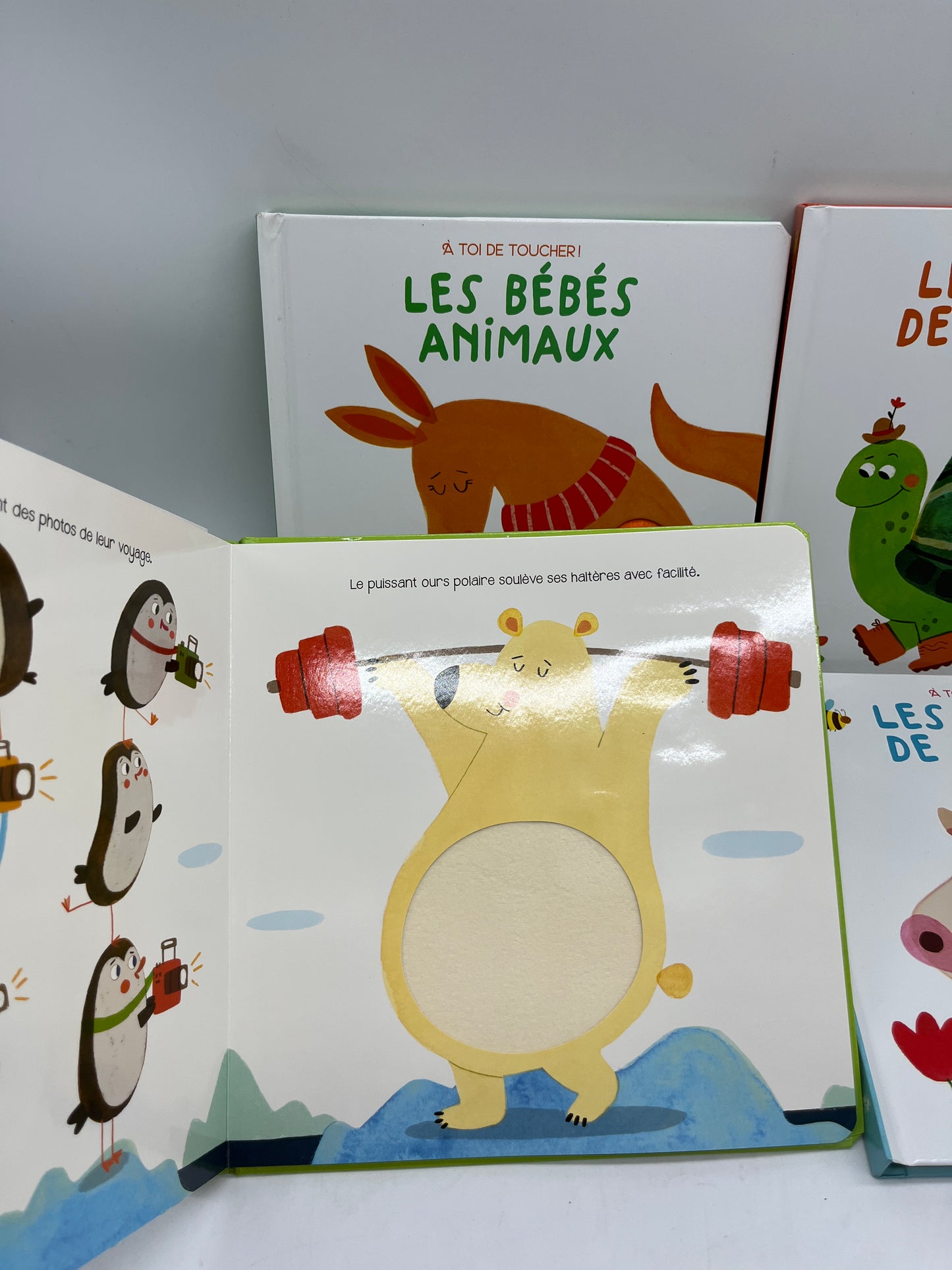 Lot de 4 livres à toucher Ludique Les animaux Neuf