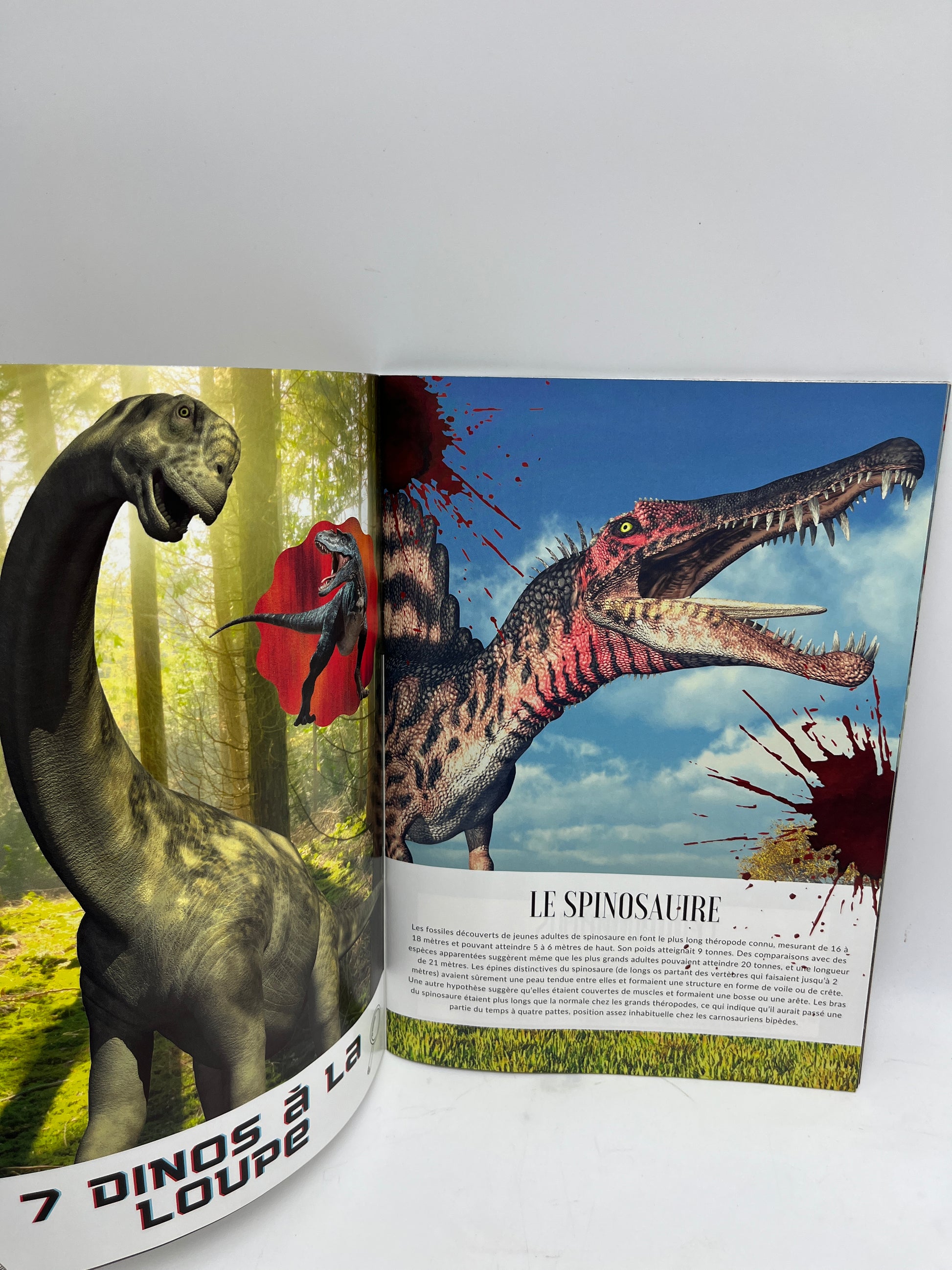 Livre Cherche et trouve des Tout Petits Modèle super Dino Livre à dépl –  Laboutiquedulivre