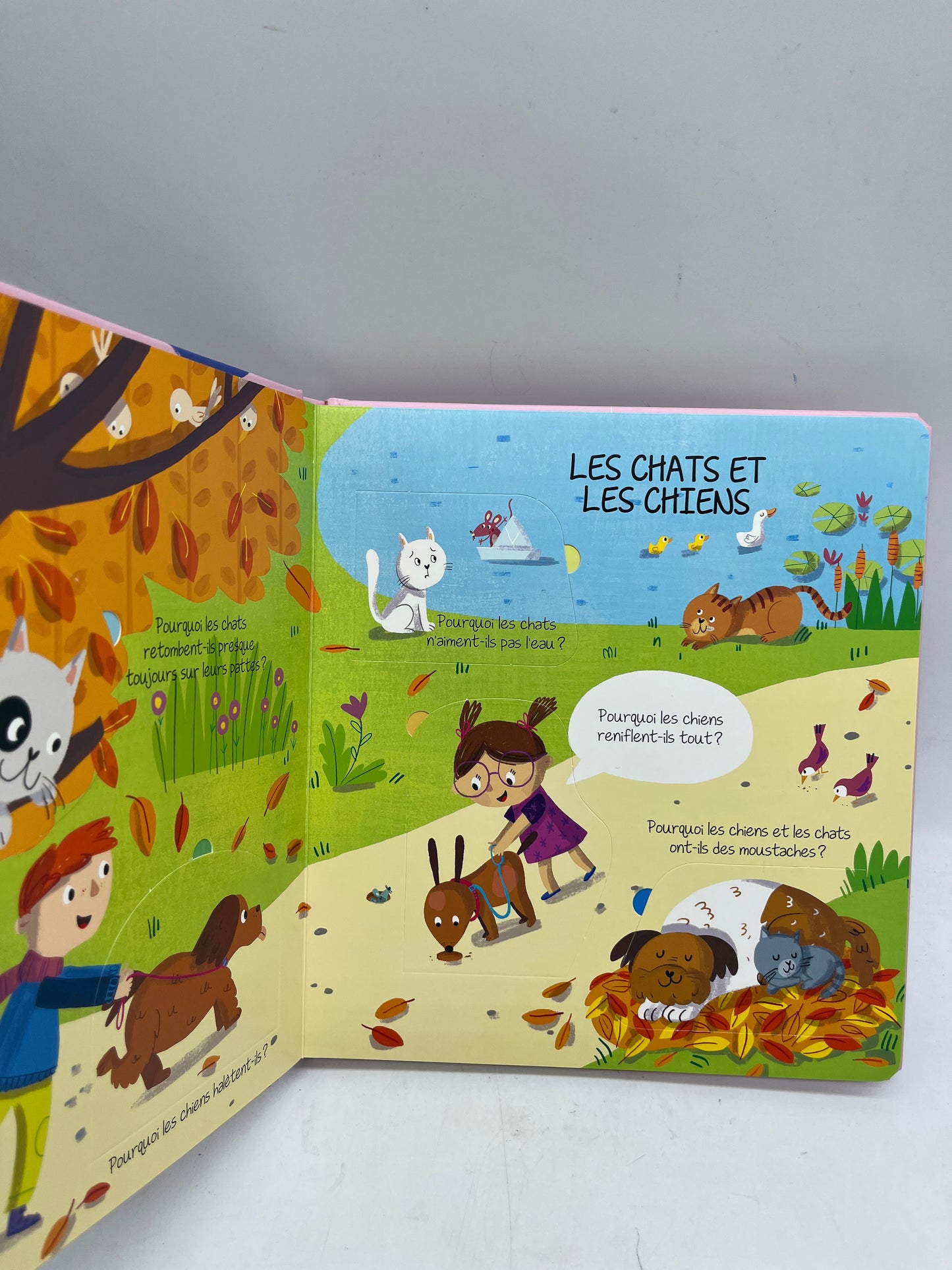 Livre Pourquoi ? Thème les animaux de compagnie livre question réponses avec plus de 30 rabats Neuf