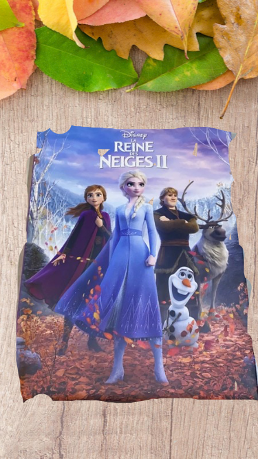 Livre la Reines des neiges 2 l'histoire du film Disney